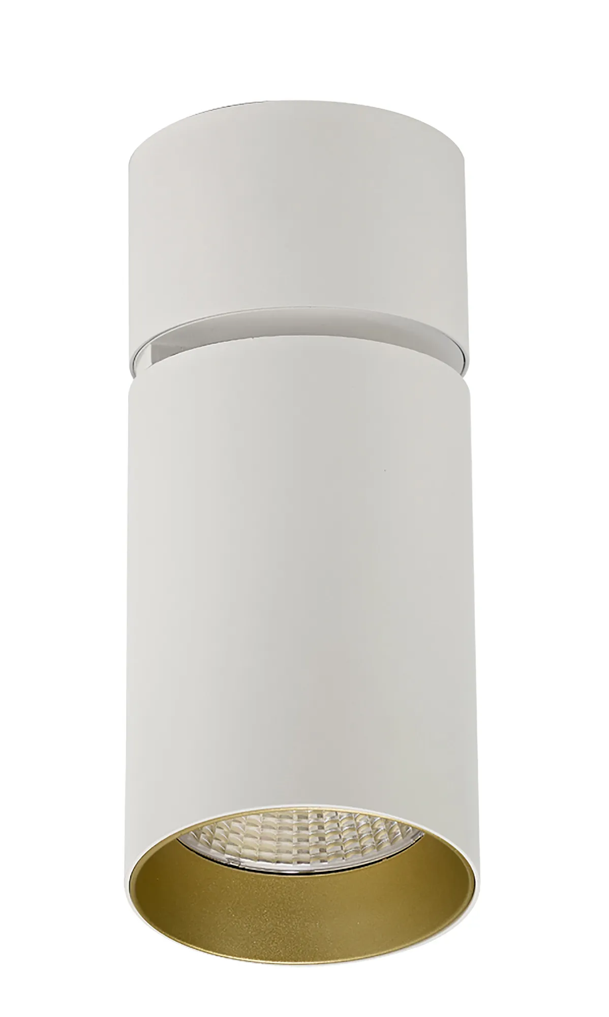 DL300047  Eos A 20, 20W White & Gold Surface LED Spotlight 1560lm 40° 4000K IP20